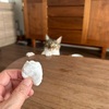 猫の日ですね