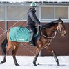 ウィルパワーの19、改めて…。