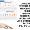 猛暑日&熱帯夜、原稿書くには好適？