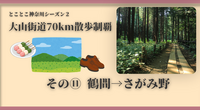 【大山街道70km散歩制覇】その⑪ 鶴間→さがみ野