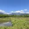 2025/05/13 火曜日　気温25℃以上夏日に