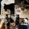 2024/12/1の夕ごはん