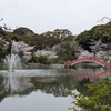 桜の名所🌸福岡県中間市垣生公園と【花よりとんかつ】