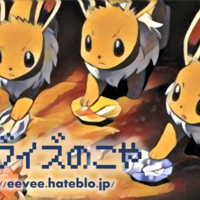 New 秋葉原周辺のポケモンカード取扱店 イーブイズの小屋