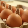 「卵」最良質タンパク質で健康的に痩せる！