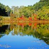 湖水に映る紅葉達