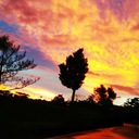 みみたんの育児と旅行ブログ