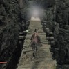 隻狼　SEKIRO　破戒僧（幻影）には種ならし