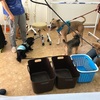 ワンちゃんの歯磨き教室