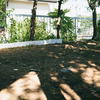 庭を整える。