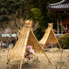 🚞【プロジェクトK】どんづるぼうと當麻寺〜南大阪線・御所線・長野線