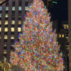 クリスマス過ぎのニューヨーク郊外
