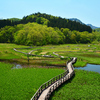 山奥の廃村跡には　Ⅰ