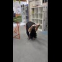 ボルダリング