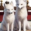 AIの脳も人間に引き寄せないとぴんとこない