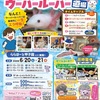 ららぽーと甲子園｜2026年6月20日（土）〜6月21日（日）いきもの道場シリーズ『ウーパールーパー道場』が開催されます