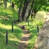 なんにも予定のない土曜日の過ごし方