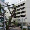 2021/05/05 千住仲町散歩 04 千住警察署/北千住一丁目踏切/伊第22号踏切道/東町商店会/馬頭観世音菩薩/東京藝術大学千住キャンパス