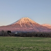 新年のご挨拶