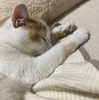 今日もおつかれさまでした