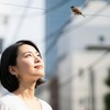 3月20日は世界スズメの日｜意味・由来・スズメが減っている理由までやさしく解説