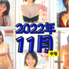 【2022/11中旬発売】グラビアアイドル写真集41名分