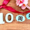 ブログ10周年！継続の難しさとオフ会開催のご案内！