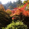 大西町歩こう会・西山興隆寺 〜 金仙寺 ( 2016-11-12 )