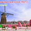 3月29日～4月23日 佐倉チューリップフェスタ2023 オランダ気分のイベントが目白押し