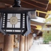 オイオイ(汗)
