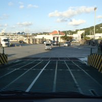 今年も本部港に上陸