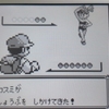 攻略ではなく冒険 ポケモン青プレイ日記6 青のゴルバット ユキシロ日記