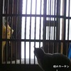 お猫の二面性