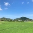 菜園日記　風の通り道　～家庭菜園で野菜の自給自足～