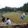 蕎麦の刈り取り作業と芳井地区の紅葉