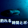 冬はちょっと違う？寒い時期に魚の活性が上がる、釣れるタイミングとは