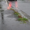 本日は雨天なり☔