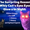 「ネコの目」が夜に光る驚きの理由！猫の生態、寿命、歴史・進化、およびスピリチュアルな側面