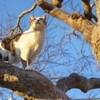 仲良し(=^・^=)ファミリー　と　手接足尾神社