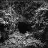 第1099回　日本の古層vol.2      祟りの正体。時代の転換期と鬼（3）