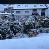 法律で定められている？日本と違うドイツの雪かき事情