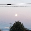 １月は Wolf Moon