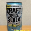 今夜のお酒！サッポロ『新食中酒 クラフトスパイスソーダ』を飲んでみた！