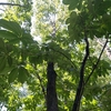 公園