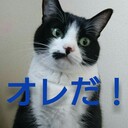 夫婦でブログ起業