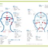 右脳・左脳どちらを使っているか？