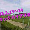 2021,2,13～14 トラックバイアス結果 (東京競馬場、阪神競馬場、小倉競馬場)