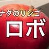 カナダのリンゴは丸かじりに最適【Lobo (ロボ)とレッドデリシャス】