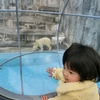 広いっ！浜松市動物園