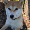 お久しぶりなもやもやなせつないよるに